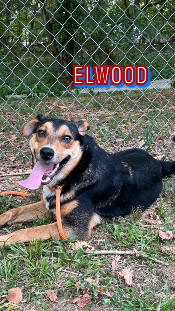 Elwood