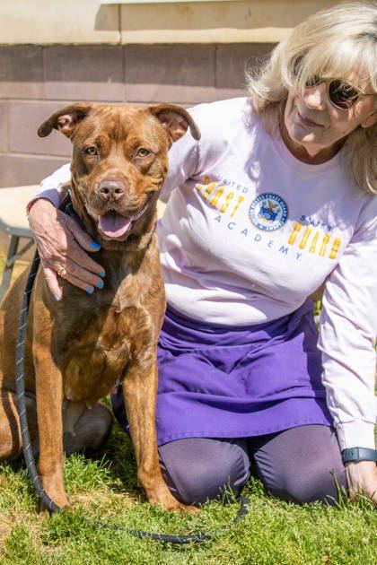 Cinnamon- IN FOSTER