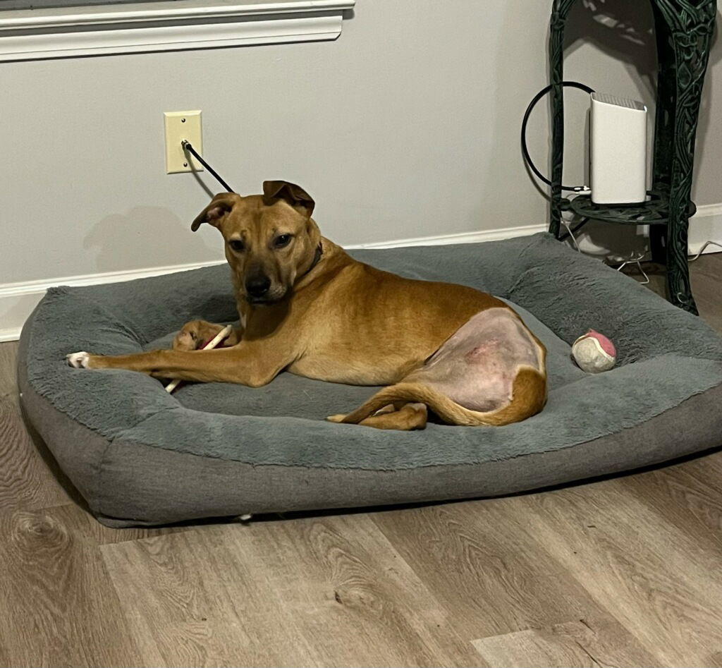 Mac