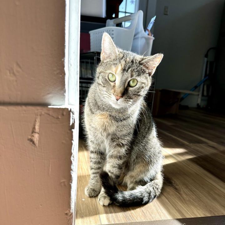 Zoey 6