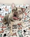 Mabel photo 2