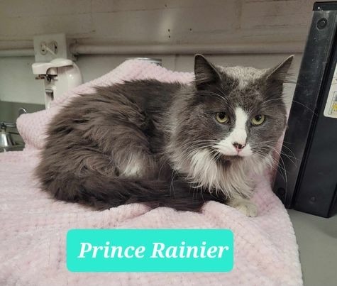 Prince Rainier 1