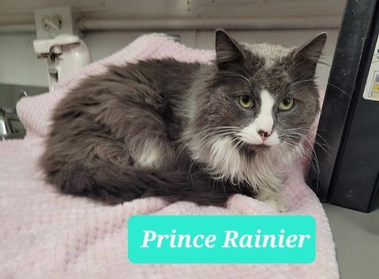 Prince Rainier 2