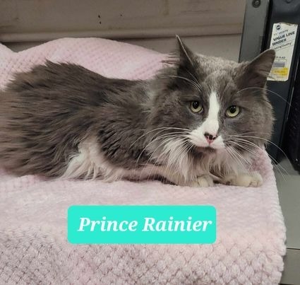 Prince Rainier