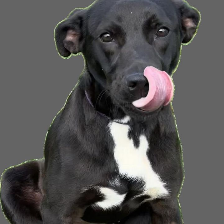 Semien 1
