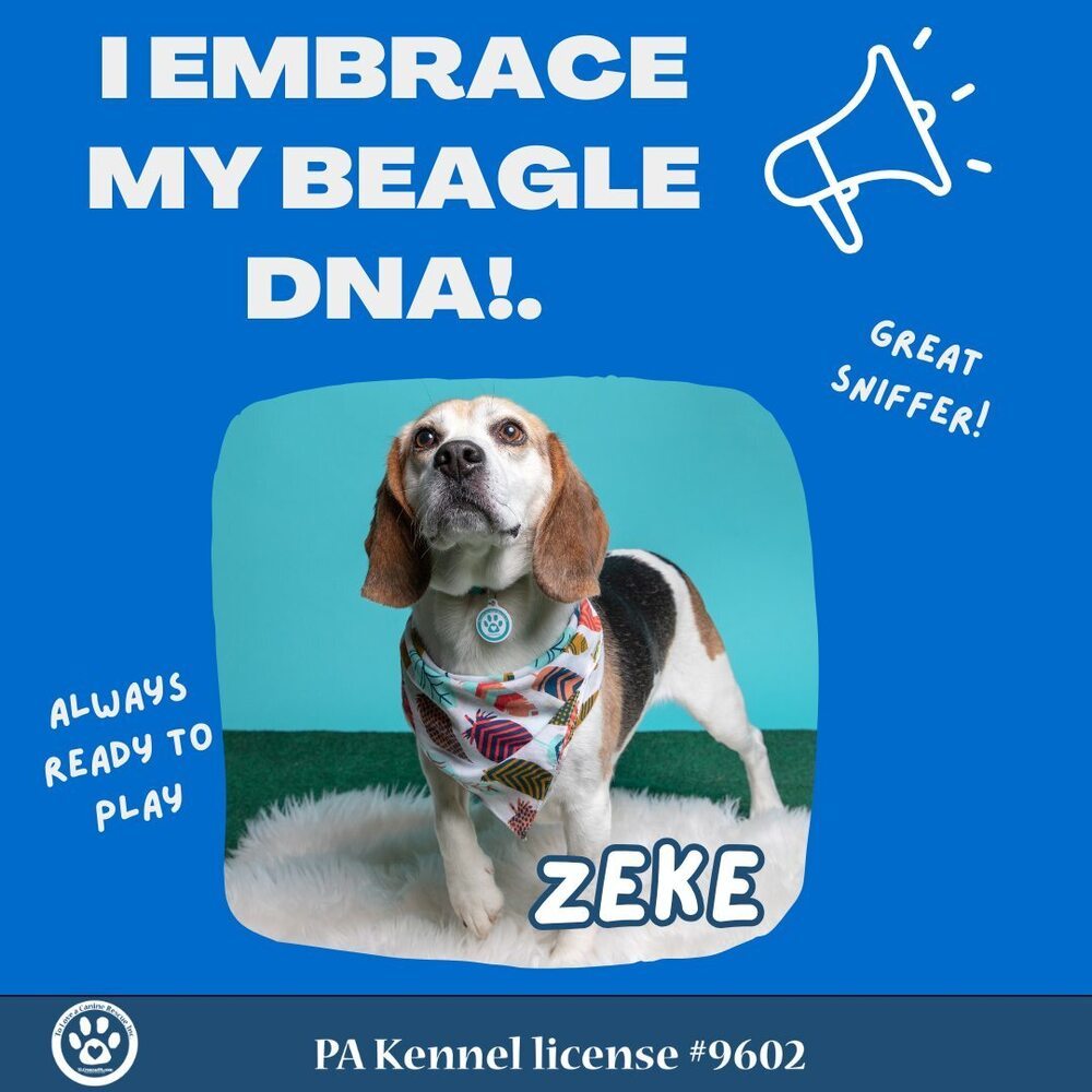 Zeke 022824