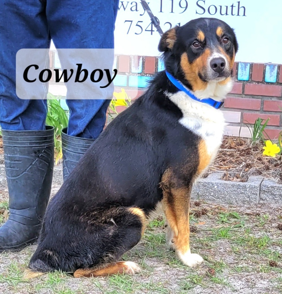 Cowboy