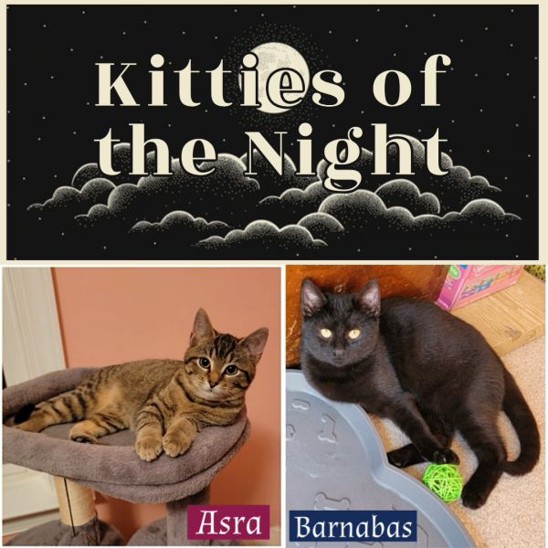 Kitties of the Night