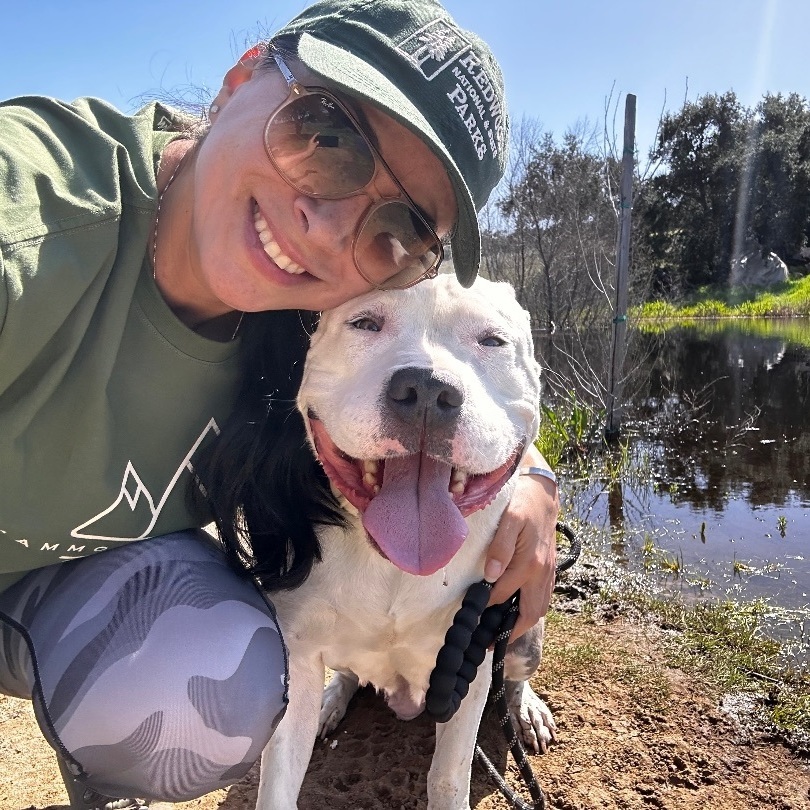 Dog for adoption - Jessy , an American Bulldog in Ramona, CA | Petfinder