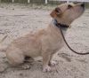 Falcor photo 3