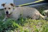 Falcor photo 6