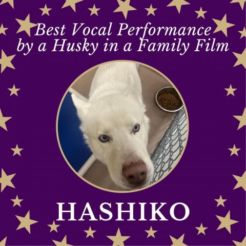 Hashiko