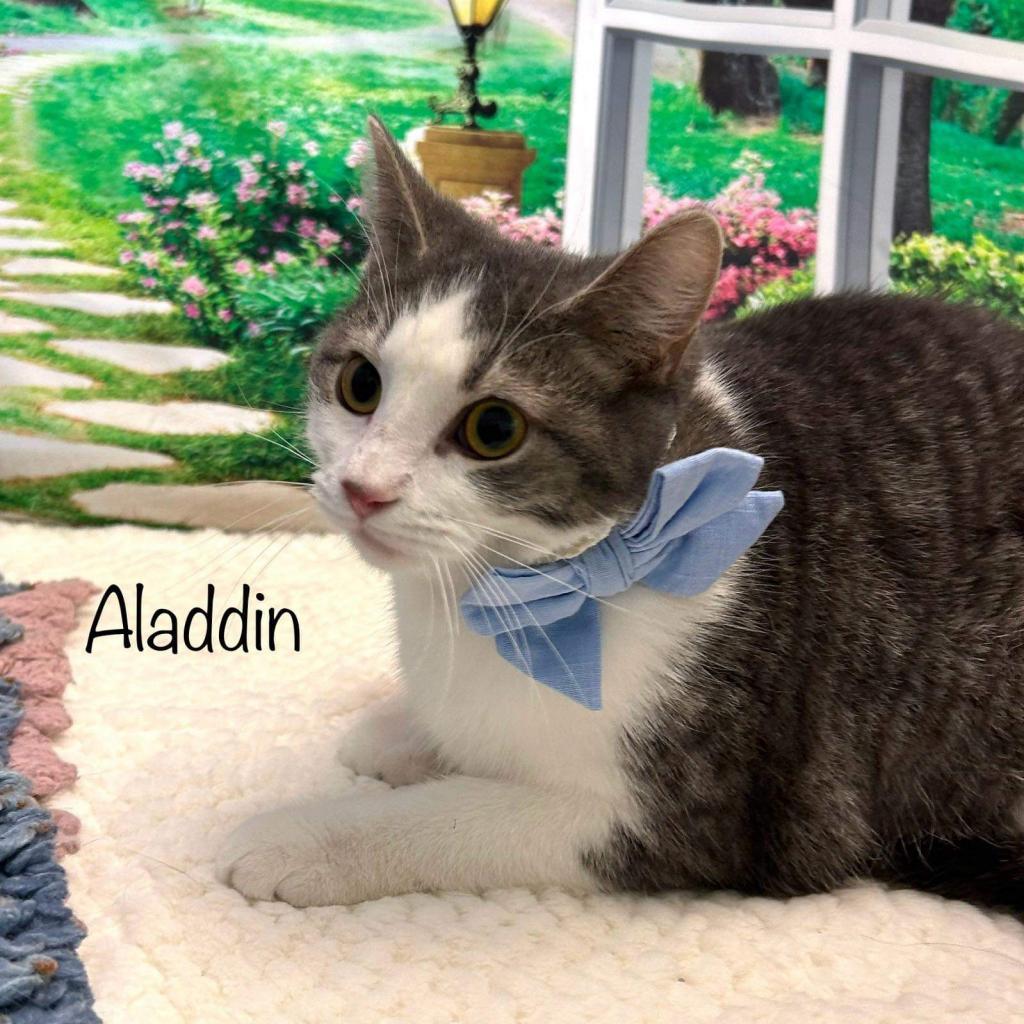 Aladdin
