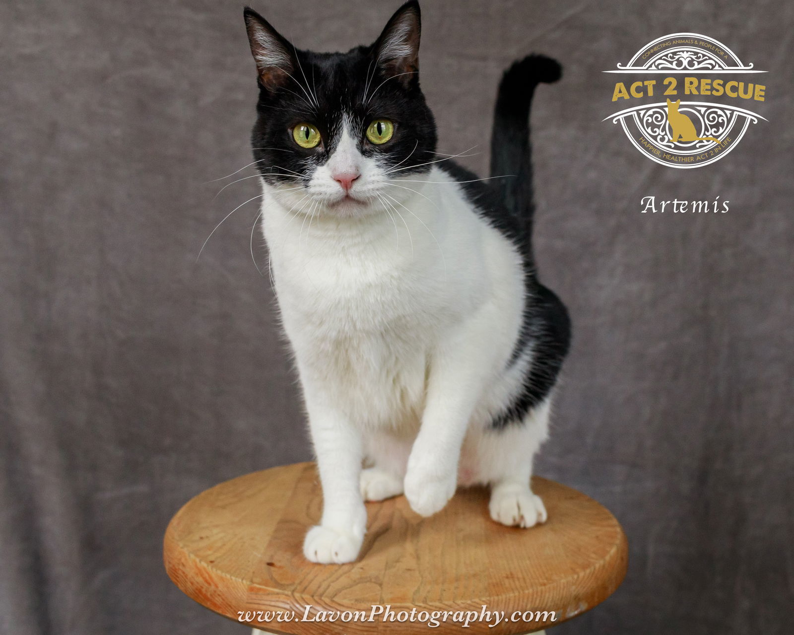 Artemis