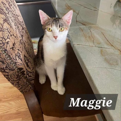 Maggie 2