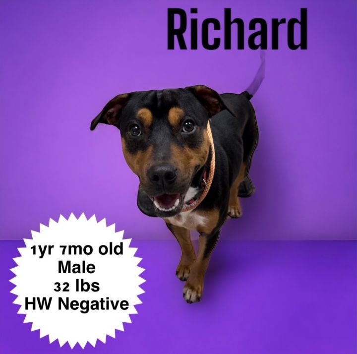 Richard 1