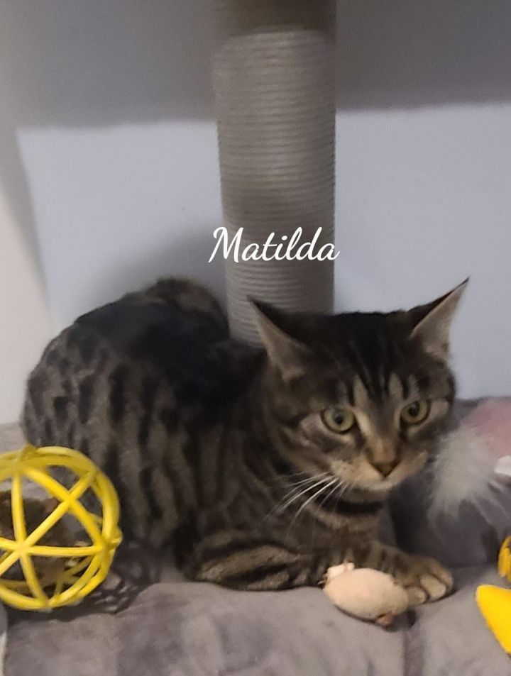 Matilda 2