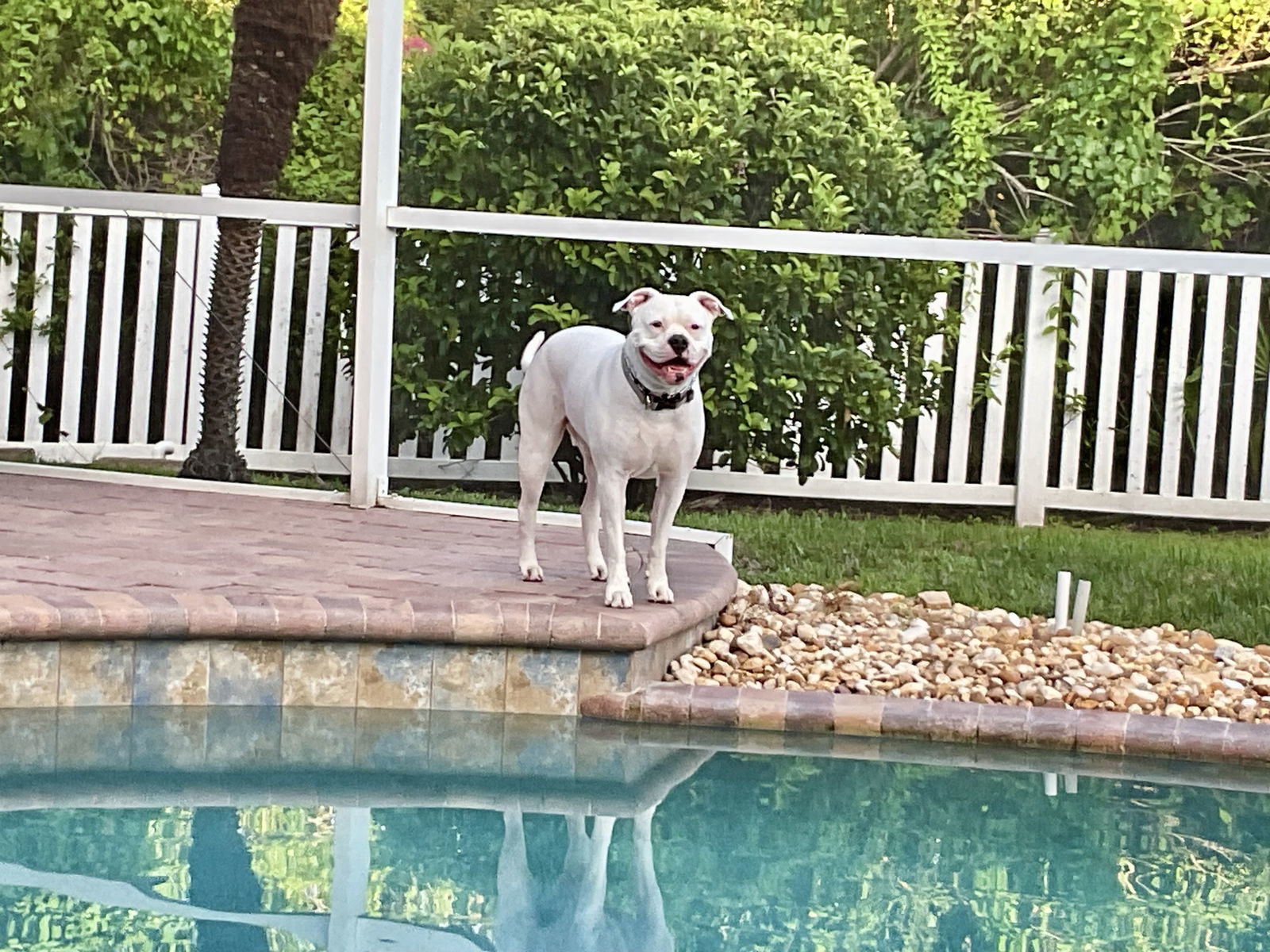 Titus