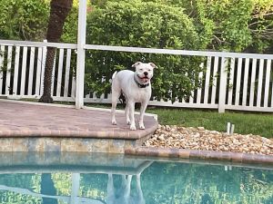Titus