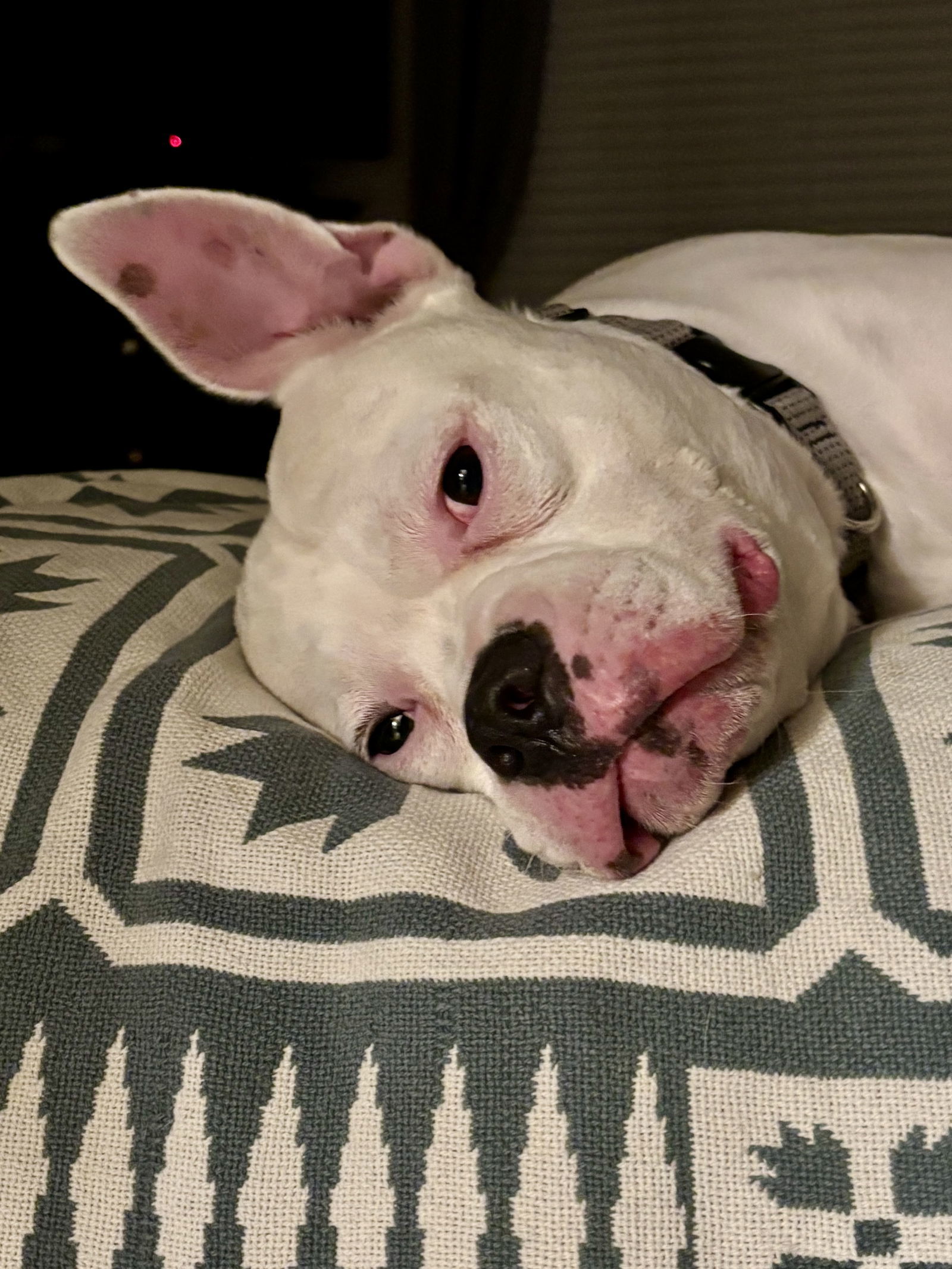 Titus