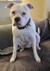 Titus photo 3