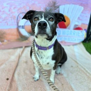 I WAS FOUND AT 1900 BLK PLYMOUTH STREET LONG BEACH CA 90805 IN LONG BEACHMy adoption evaluation dat