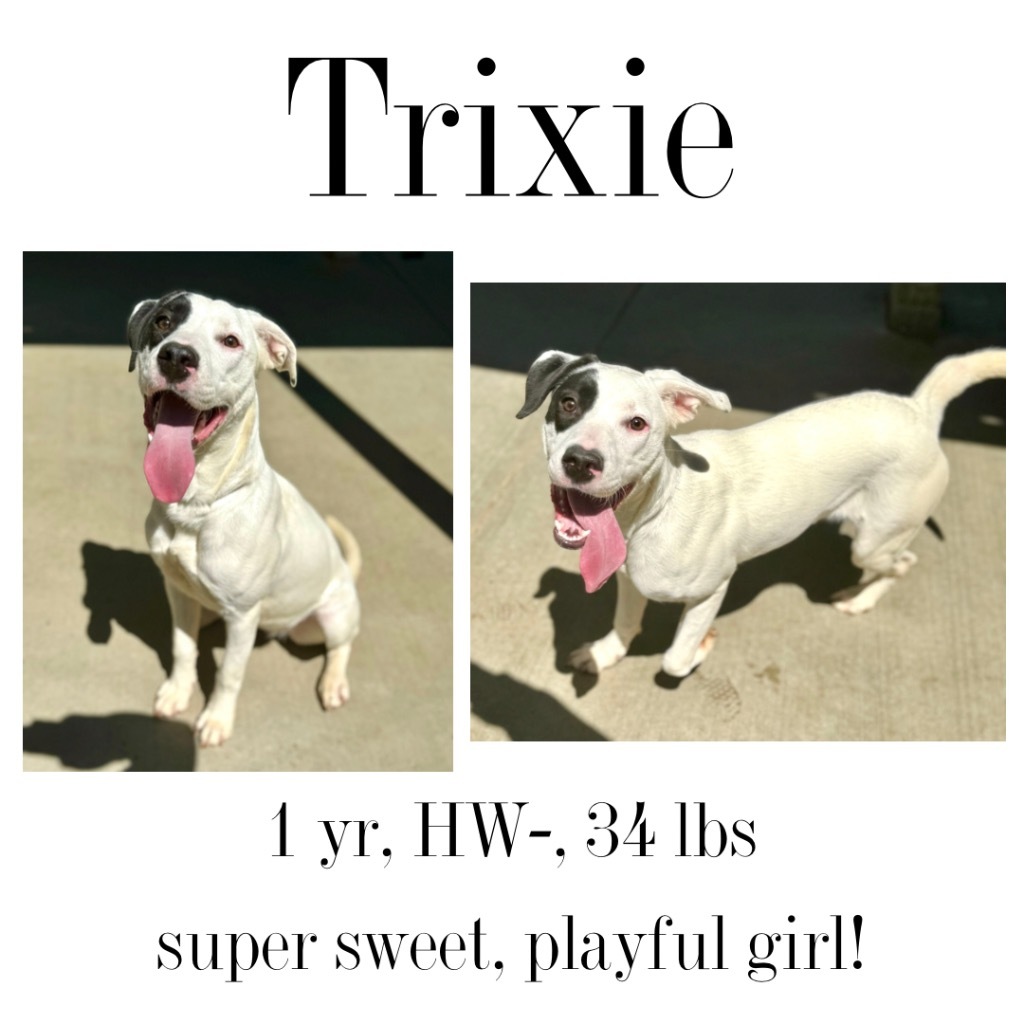 Trixie detail page