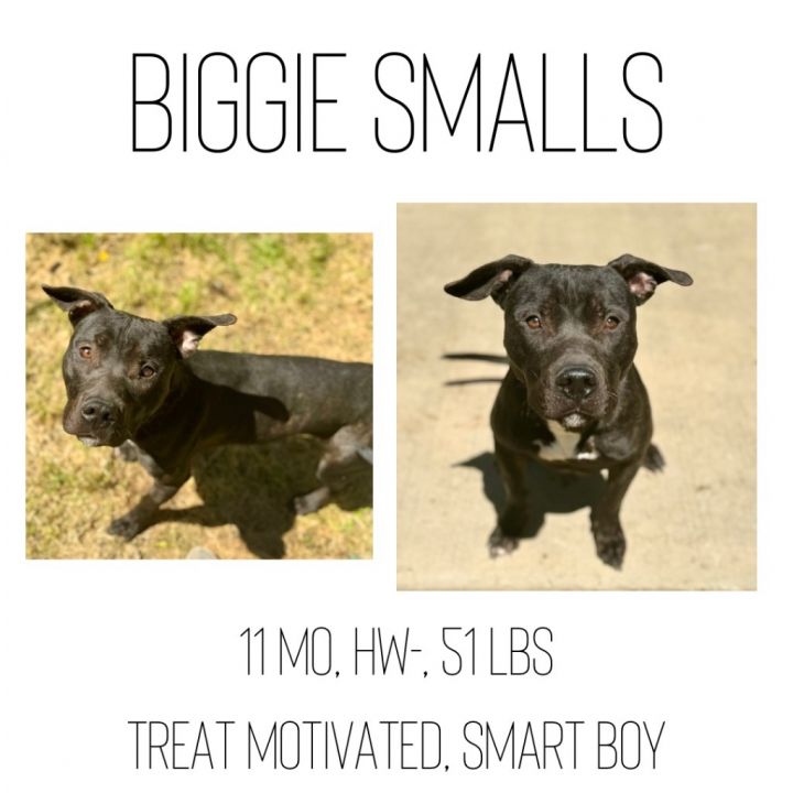Biggie Smalls 1