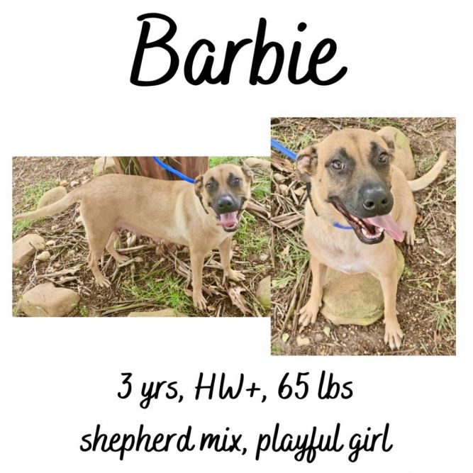 Barbie & Pups