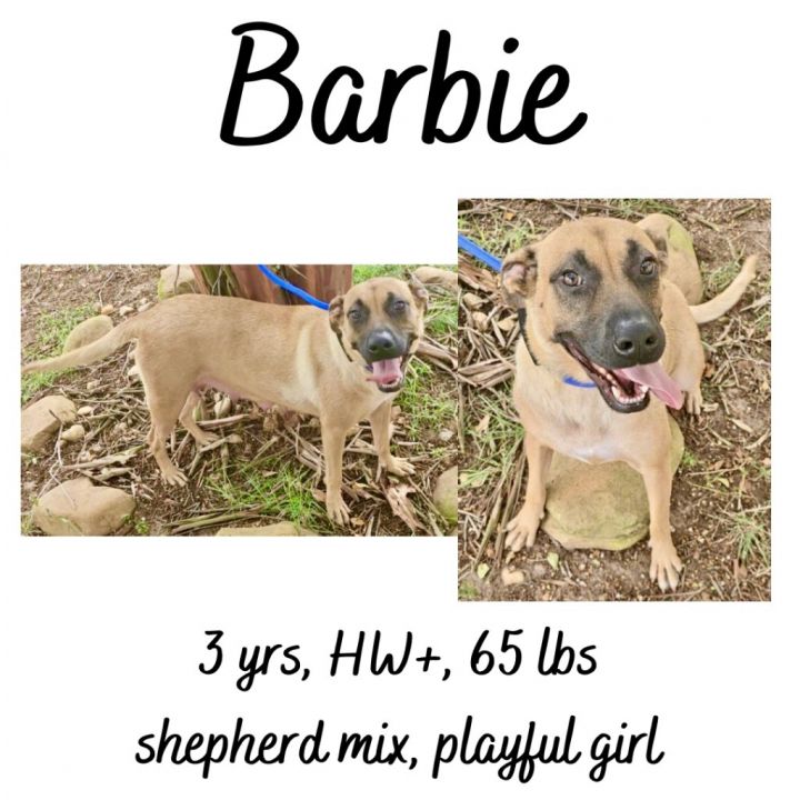 Barbie & Pups 1