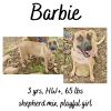 Barbie photo 1