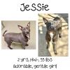 Jessie photo 1