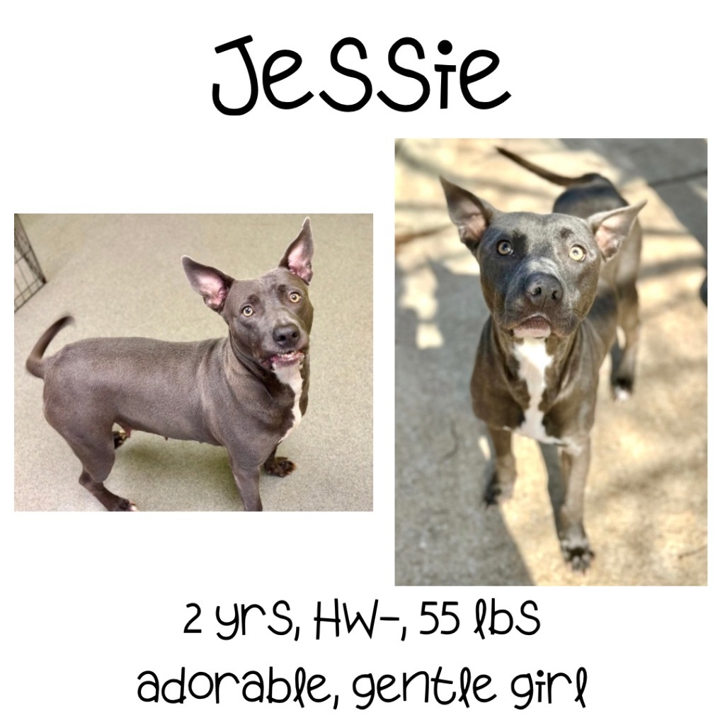 Jessie