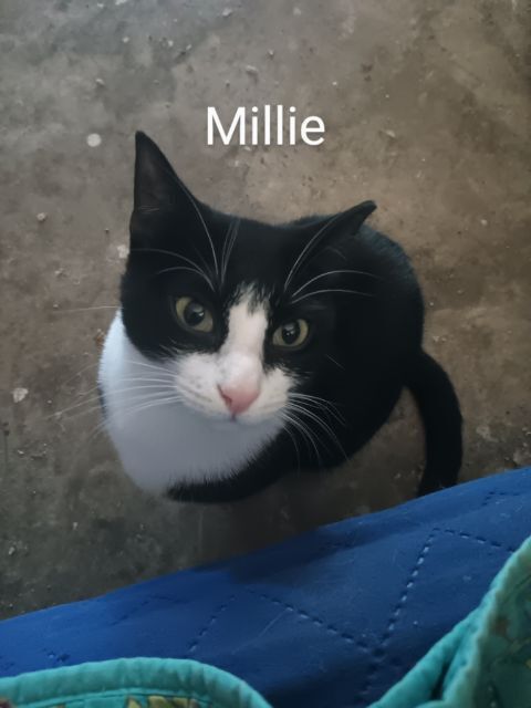 Millie Ortiz 0216