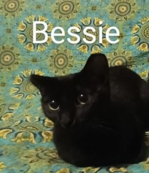 Bessie Ortiz 0213 1