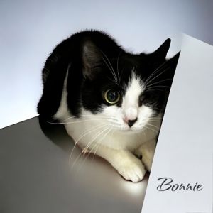Bonnie
