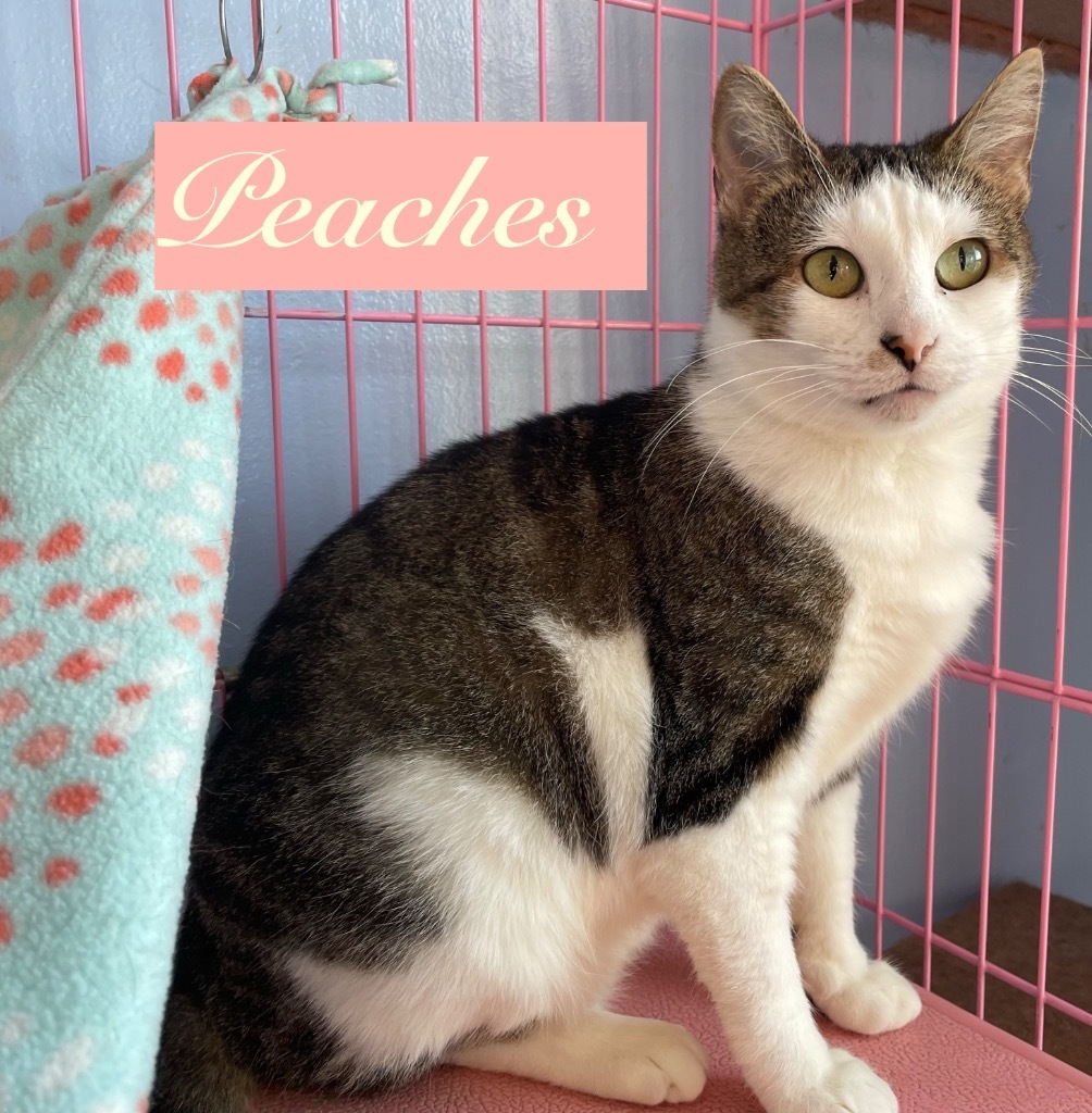 Peaches