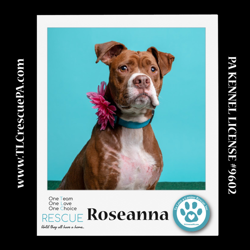 Roseanna 031624