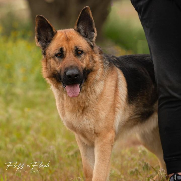 Tula 1