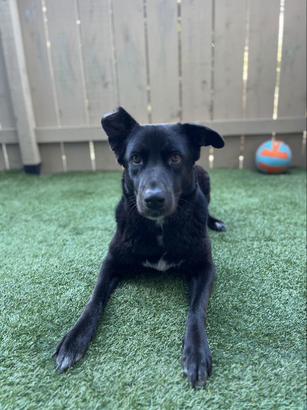 Winnie