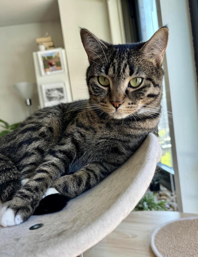 Luna