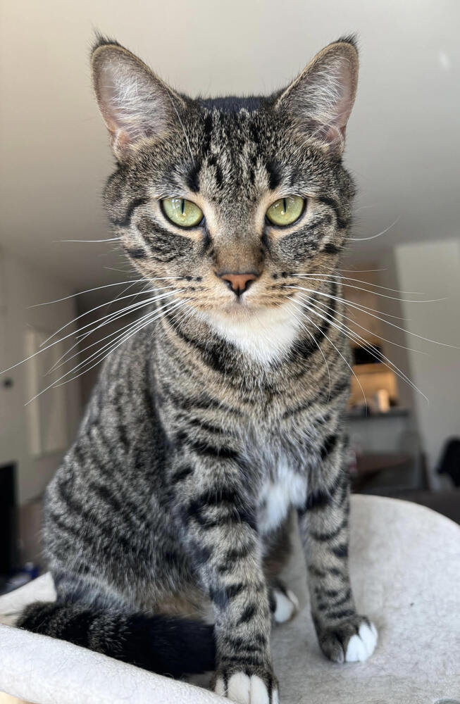Luna 2