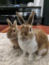 Butters photo 1