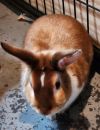 Butters photo 2