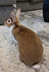 Butters photo 3