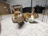 Butters photo 5