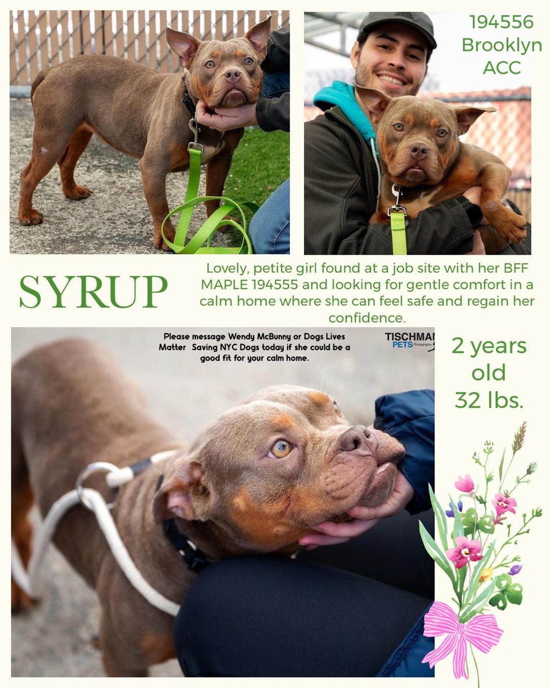 Syrup (needs to be adopted with Maple)