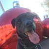 Pop photo 5