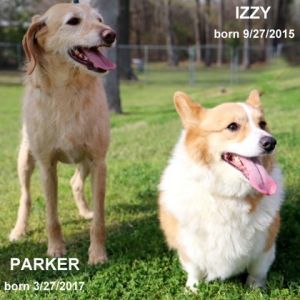 Parker & Izzy