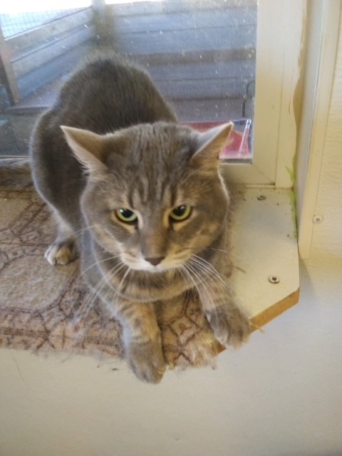 Dusty